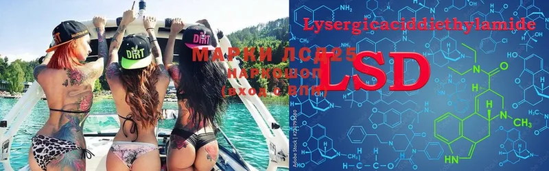 LSD-25 экстази ecstasy  как найти наркотики  Волосово 